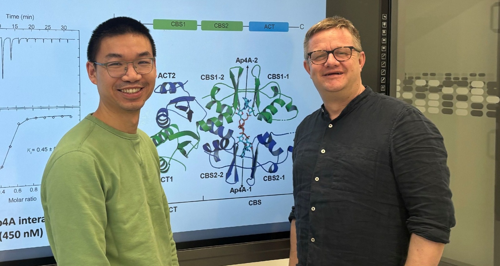 Marburger Forschungsteam entdeckt neuen molekularen Schaltmechanismus in Bakterien